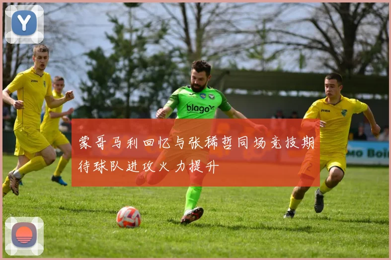蒙哥马利回忆与张稀哲同场竞技期待球队进攻火力提升