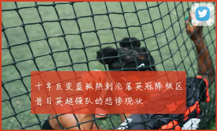 十年巨变蓝狐热刺沦落英冠降级区昔日英超强队的悲惨现状
